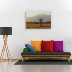 Tablou canvas - Sub Cerul Africii, Elefant, Pasari, Munte, Salbatic, 60 x 90 cm - Img 2