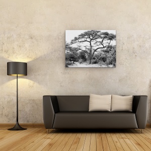 Tablou canvas - Sub Salcam, Salbatic, Natura, Animal, 50 x 70 cm - Img 2