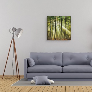 Tablou canvas - Sunny Incepe Ziua, Peisaj, Vara, Padure, Padure, Lumina, 60 x 60 cm - Img 2
