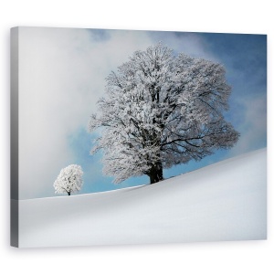 Tablou canvas - Sunt Cel Mai Frumos, Iarna, Copac, Peisaj, Zapada, Padure, 40 x 50 cm