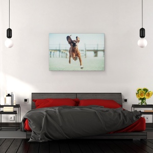 Tablou canvas - Sus, Pana La Cer, Peisaj, Caini, Animale, Plaja, 80 x 120 cm - Img 3