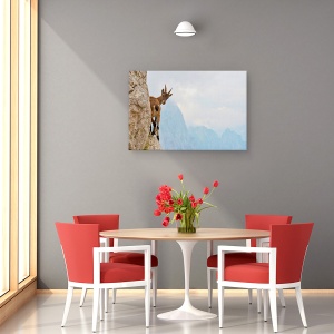 Tablou canvas - Suspans, Ibex, Munte, Italia, Capra, 40 x 60 cm - Img 4