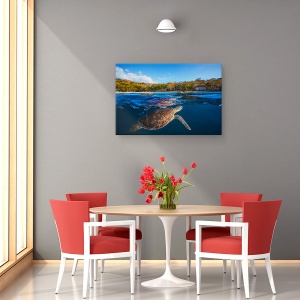 Tablou canvas - Testoasa Verde - Testoasa De Mare, Sub Apa, Calatorie, 80 x 120 cm - Img 4