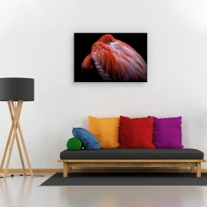 Tablou canvas - Timiditate, Animal, Flamingo, Roz, Pasare, 40 x 60 cm - Img 2