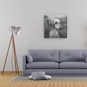Tablou canvas - Toamna, Caine, Pet, Animal, Alb-Negru, Picaturi, 60 x 60 cm - Img 2