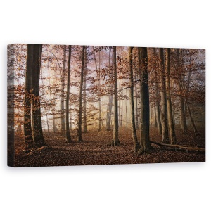 Tablou canvas - Toamna, Copaci, Padure, 50 x 100 cm