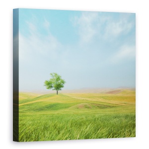 Tablou Canvas - Totul E Bine, Copac, Peisaj, Vara, Singur, 60 x 60 cm