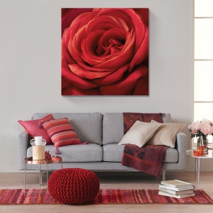 Tablou canvas decorativ trandafir floare rosie 60x60cm
