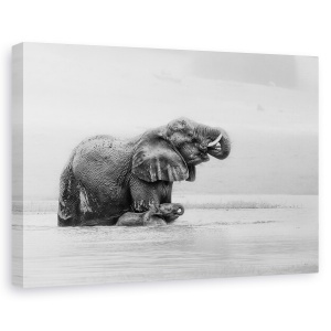 Tablou canvas - Traversarea Raului Cu Mama, Trecere, Alb-Negru, Elefanti, 40 x 60 cm