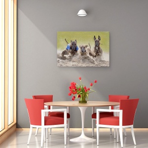 Tablou canvas - Trio Castigator, Antrenare, Ogar, Cursa, Caine, 60 x 90 cm - Img 4