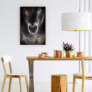 Tablou Canvas - Ulise, Cal, Animale, Coama, Animale, Animal De Casa, 60 x 90 cm - Img 4