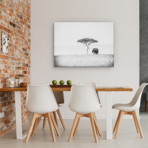 Tablou canvas - Umbrela, Elefant, Salbatic, Natura, Kenya, Alb-Negru, 50 x 70 cm - Img 4