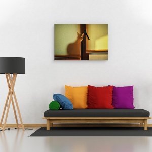 Tablou canvas - Un Pic De Maya, Pisica, Fereastra, Pet, Umbra, Ascunde, 60 x 90 cm - Img 2