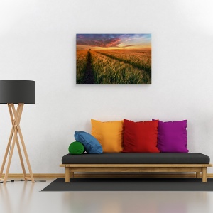 Tablou canvas - Undeva La Apus, Peisaj, Camp, Copac, Polonia, 40 x 60 cm - Img 2
