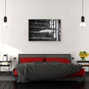 Tablou canvas - Viata Lenta, Pisica, Vis, Pitigliano, Italia, Borgo, 40 x 60 cm - Img 3