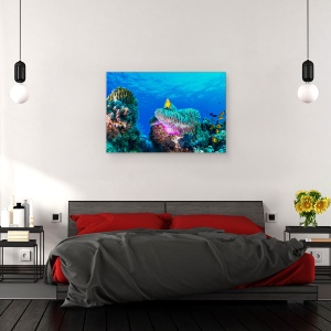 Tablou canvas - Viata Maritima, Sub Apa, Pestele Clovn, Anemone, Recif, 80 x 120 cm - Img 3