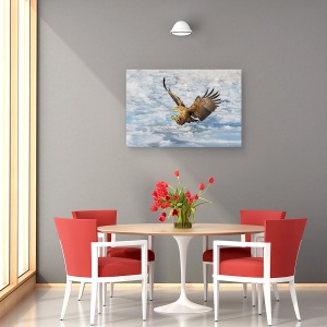 Tablou canvas - Vin, Natura, Pasare, Animal, Vultur, Gheata, 60 x 90 cm - Img 4