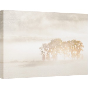 Tablou canvas - Vise de Toamna, Colorado, Stancos, Munti, Infrangere, Zapada, Ceata, 80 x 120 cm