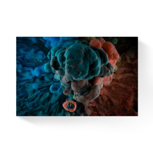 Tablou Canvas - Vopsea acrlilica in apa, Fluid, Nori in culori, Dinamic, Abstract, 60 x 90 cm
