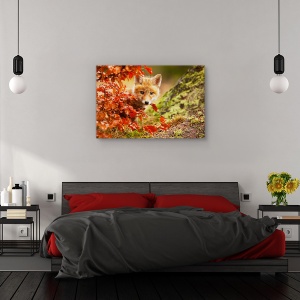 Tablou canvas - Vulpe, Nature, Toamna, Blana, Frunze, 80 x 120 cm - Img 3
