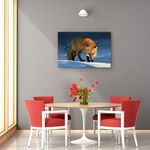 Tablou canvas - Vulpe rosie, Nature, Zapada, Iarna, Natura, 80 x 120 cm - Img 4