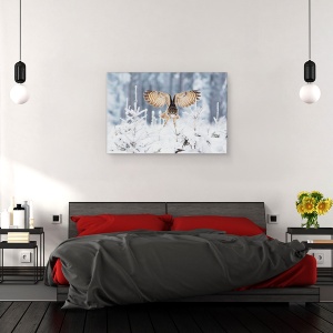 Tablou canvas - Vultur-Bufnita, Bufnita Vultur, Bufnita, Aripi, Zburand, Zbor, 60 x 90 cm - Img 3