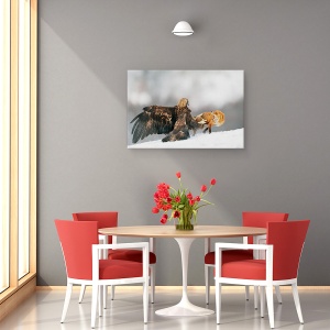 Tablou canvas - Vulturul De Aur Si Vulpea Rosie, Natura, Salbatic, 40 x 60 cm - Img 4