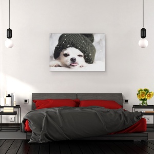 Tablou canvas - Yah-Boo, Caine, Chihuahua, Pet, Animal, Limba, 80 x 120 cm - Img 3