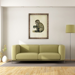 Tablou inramat - Albrecht Durer - O maimuta, 60 x 80 cm - Img 2