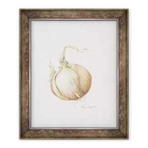 Tablou inramat - Alison Cooper - Studiu ceapa, 50 x 60 cm