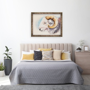 Tablou inramat - Alison Cooper - Un Herdwick Ram, 60 x 80 cm - Img 2