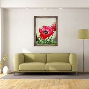 Tablou inramat - AlyZen Moonshadow - Anemone Rosii, 2013, 60 x 80 cm - Img 2