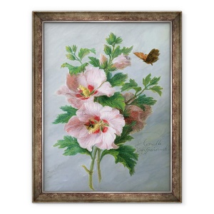 Tablou inramat - Cornelis van Spaendonck - Hibiscus impotriva unei muchii de marmura, 70 x 90 cm