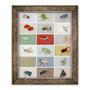 Tablou inramat - Eliza Southwood - insecte, 50 x 60 cm