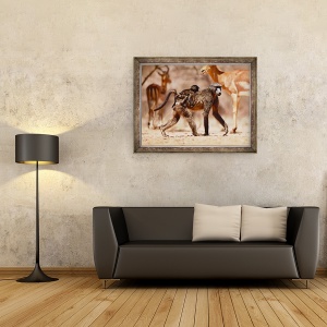 Tablou inramat - Eric Meyer - Babuini si Impala, 2019, 60 x 80 cm - Img 2