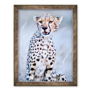 Tablou inramat - Eric Meyer - Tanar ghepard, 2019, 70 x 90 cm