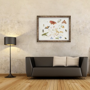 Tablou inramat - Ferdinand van Kessel - Studiul insectelor si florilor, 60 x 80 cm - Img 2