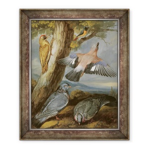 Tablou inramat - Francis Barlow - Jay, Ciocanitoarea verde, Porumbeii si Redstart, 70 x 85 cm