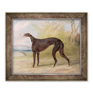 Tablou inramat - George Garrard - Unul dintre ogarii castigatori ai lui George Lane Fox - Curva neagra si alba, Juno, cunoscuta si sub numele de Elizabeth, 50 x 60 cm