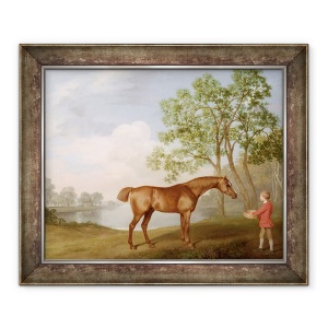 Tablou inramat - George Stubbs - Dovleac cu un Stable-Lad, 50 x 60 cm