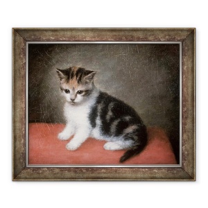 Tablou inramat - George Stubbs - Pisicuta drei Ann White, 50 x 60 cm
