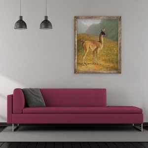 Tablou inramat - Jacques-Laurent Agasse - Guanaco, 70 x 85 cm - Img 2