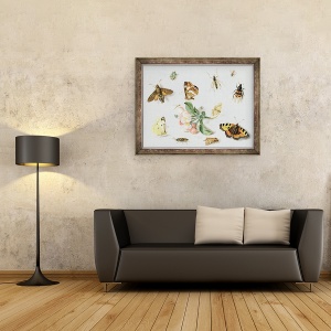 Tablou inramat - Jan van Kessel the Elder - Fluturi I, 60 x 80 cm - Img 2