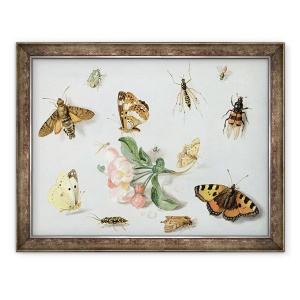 Tablou inramat - Jan van Kessel the Elder - Fluturi I, 70 x 90 cm