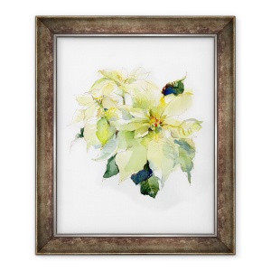 Tablou inramat - John Keeling - Poinsettia Alb, 2014, 50 x 60 cm