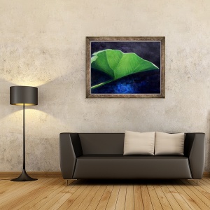 Tablou inramat - Lincoln Seligman - Frunza II, 60 x 80 cm - Img 2