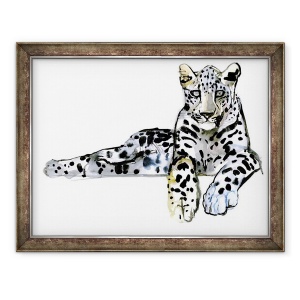 Tablou inramat - Mark Adlington - Leopard III, 60 x 80 cm