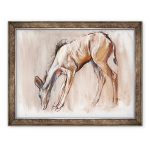 Tablou inramat - Mark Adlington - Young Kudu, Loisaba, 2018, 60 x 80 cm