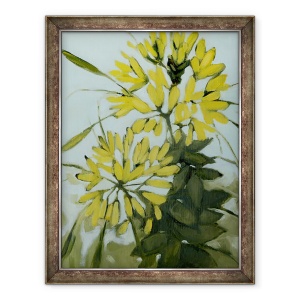 Tablou inramat - Megan Moore - Cleome galbene, 60 x 80 cm