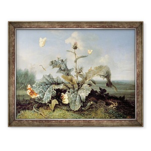Tablou inramat - Otto Marseus van Schrieck - Bush de brusture, 60 x 80 cm